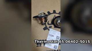Thermostaat 65.06402-5015 65.064025015 6506402-5015