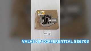 KLEP GP-DIFFERENTIEEL 8E6703