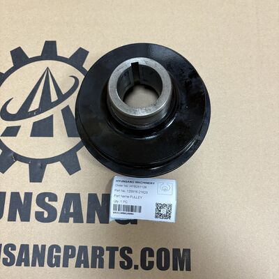 Excavator Engine Parts Pulley 129916-21620